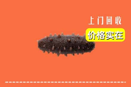 收购资讯:攀枝花仁和区回收海参