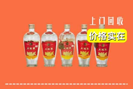 攀枝花仁和区回收老五粮液